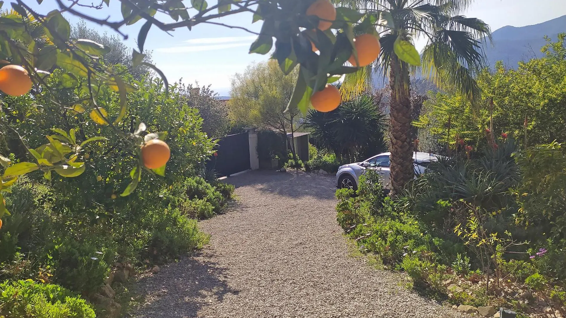 Apartamento 456 Chemin De La Pinede Menton